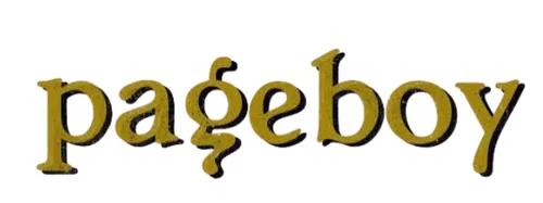 pageboy logo